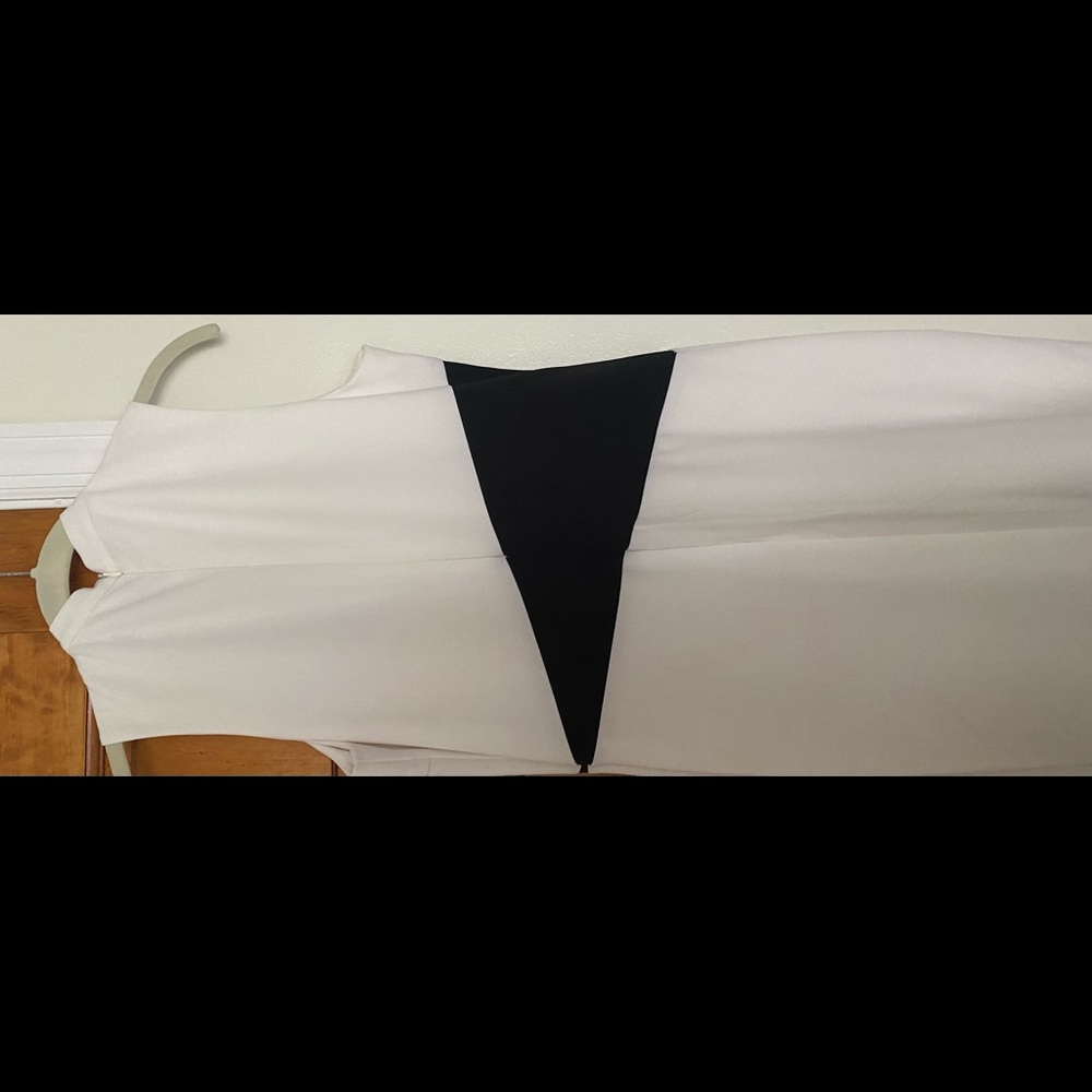 Neiman Marcus fitted dress.